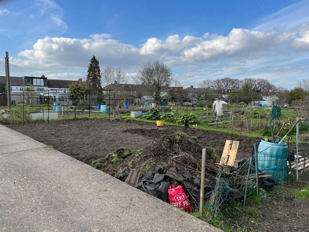 Addiscombe Allotment garden after clearance